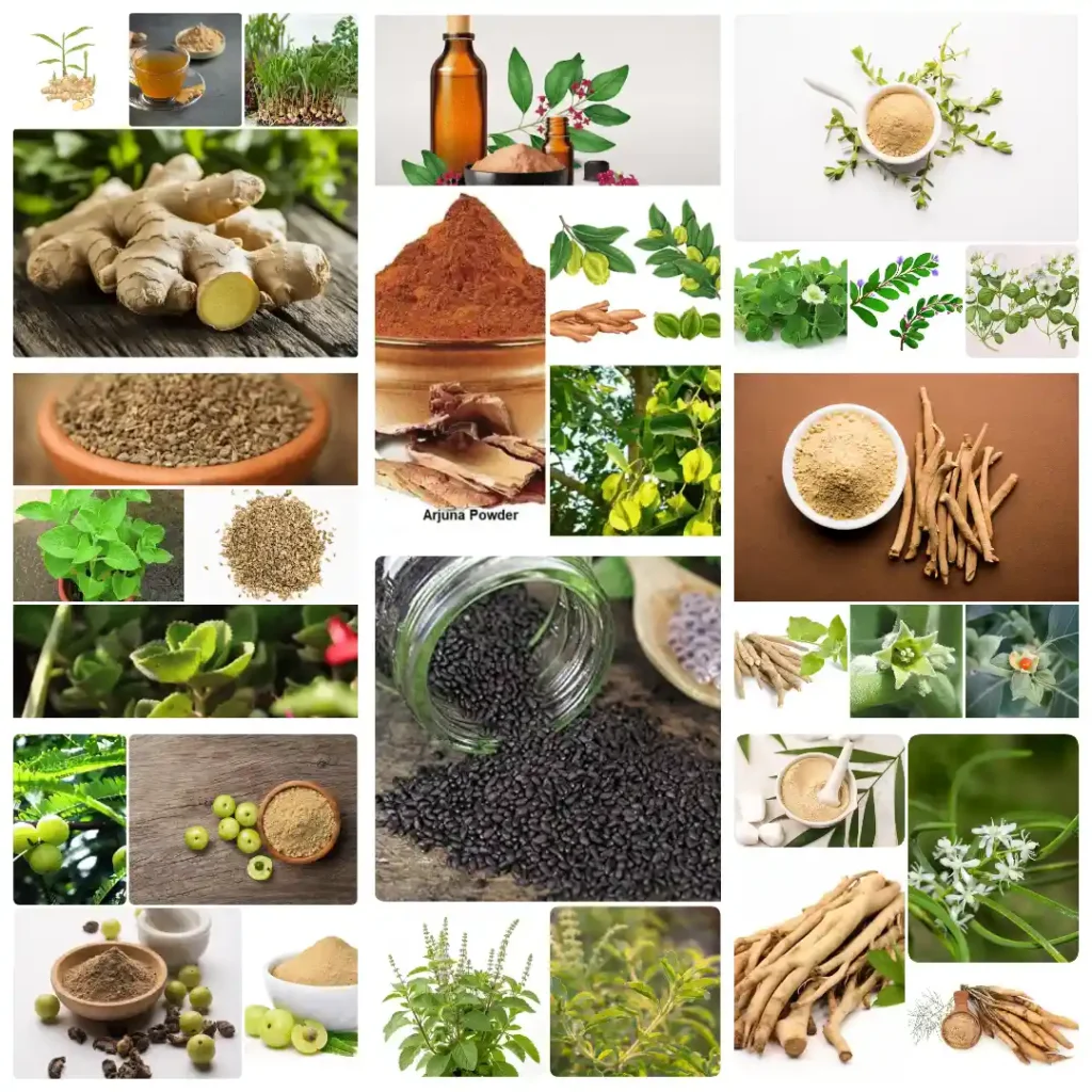 All Ayurvedic Herbs