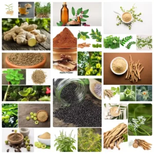 All Ayurvedic Herbs