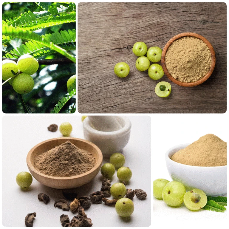 Benefits of Amla