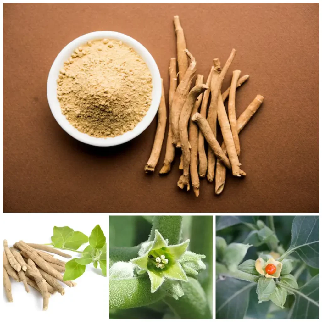 Benfits of Ashwagandha