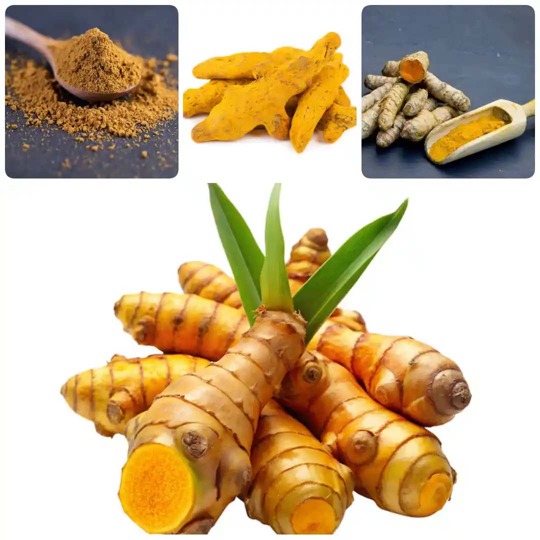 Haldi Uses and benefits